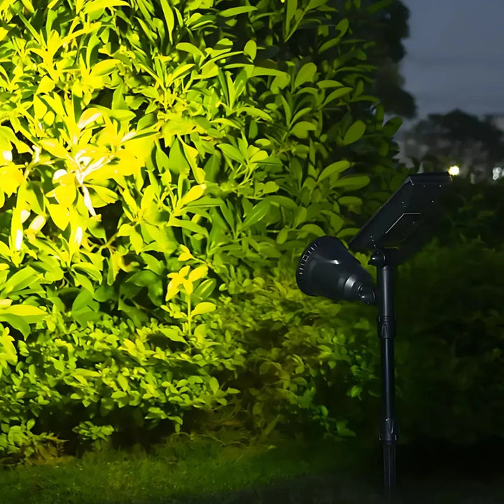 Solar energy garden spotlight